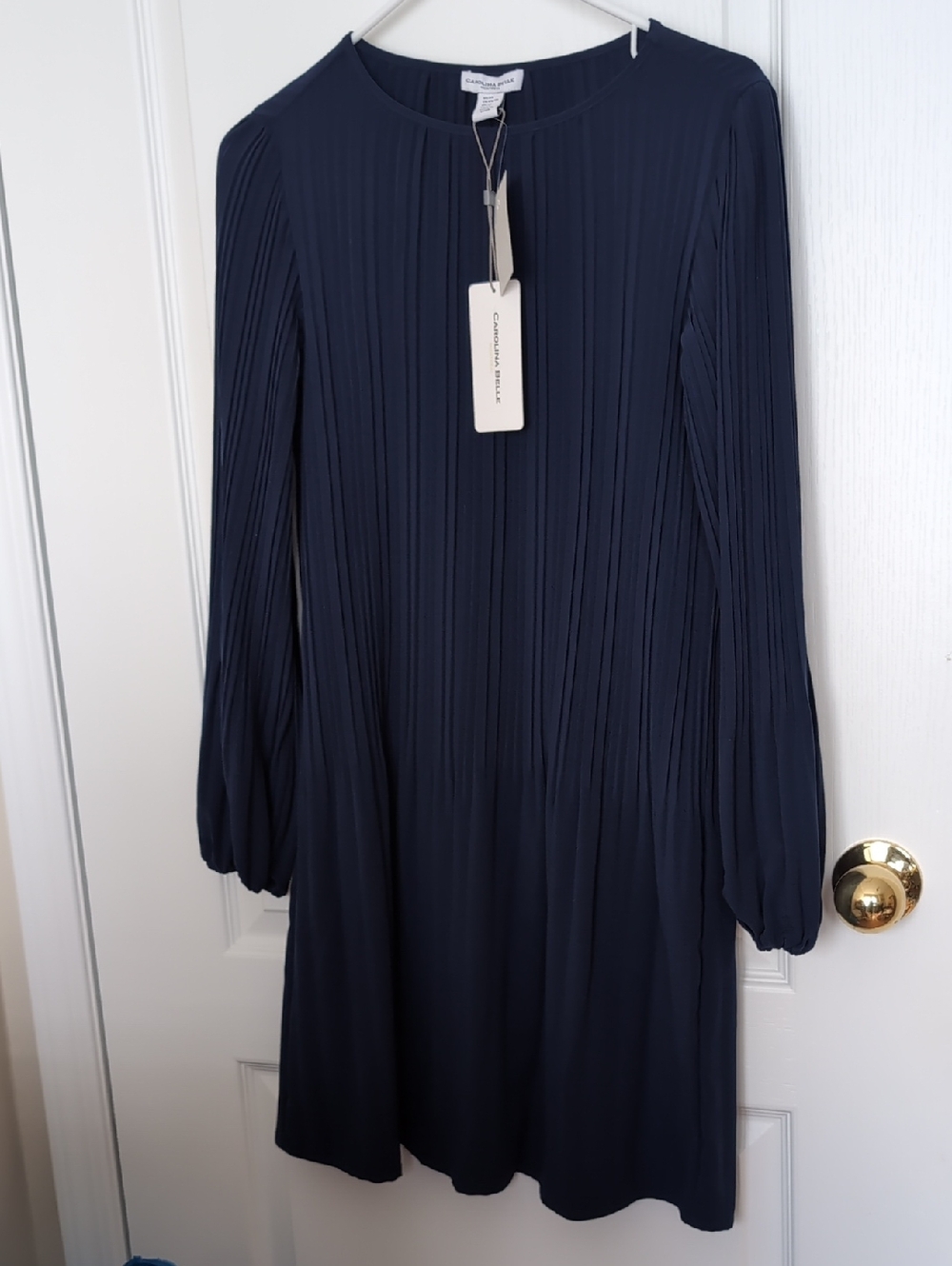 NWT Carolina belle Dark Navy Pleated Long-Sleeve Dress